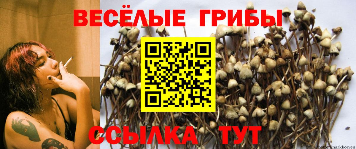 Псилоцибиновые грибы ЛСД Зеленодольск