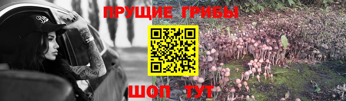 Галлюциногенные грибы Psilocybine cubensis  Галлюциногенные грибы мицелий  Вход с VPN  Зеленодольск 